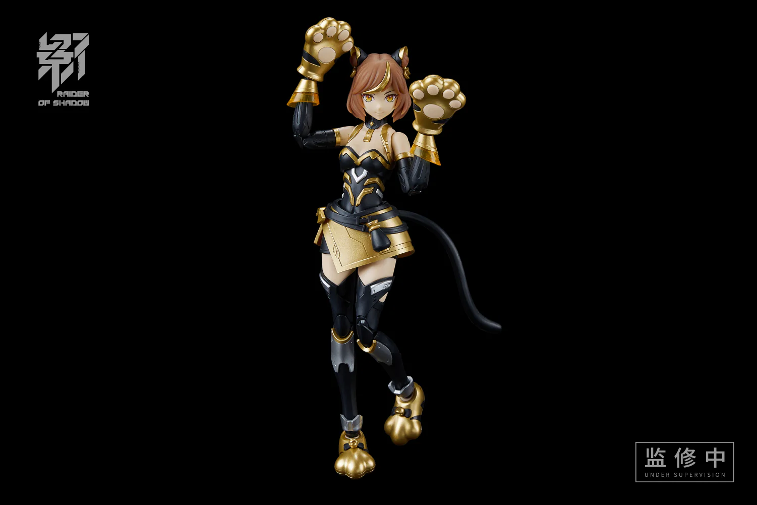 MS General Raider of Shadow Series RS-03 Tiger - Image 5