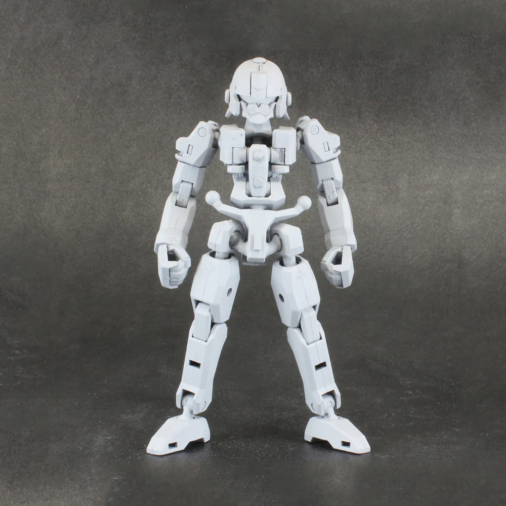 Pla-Act Option Series 06: Frame Unit