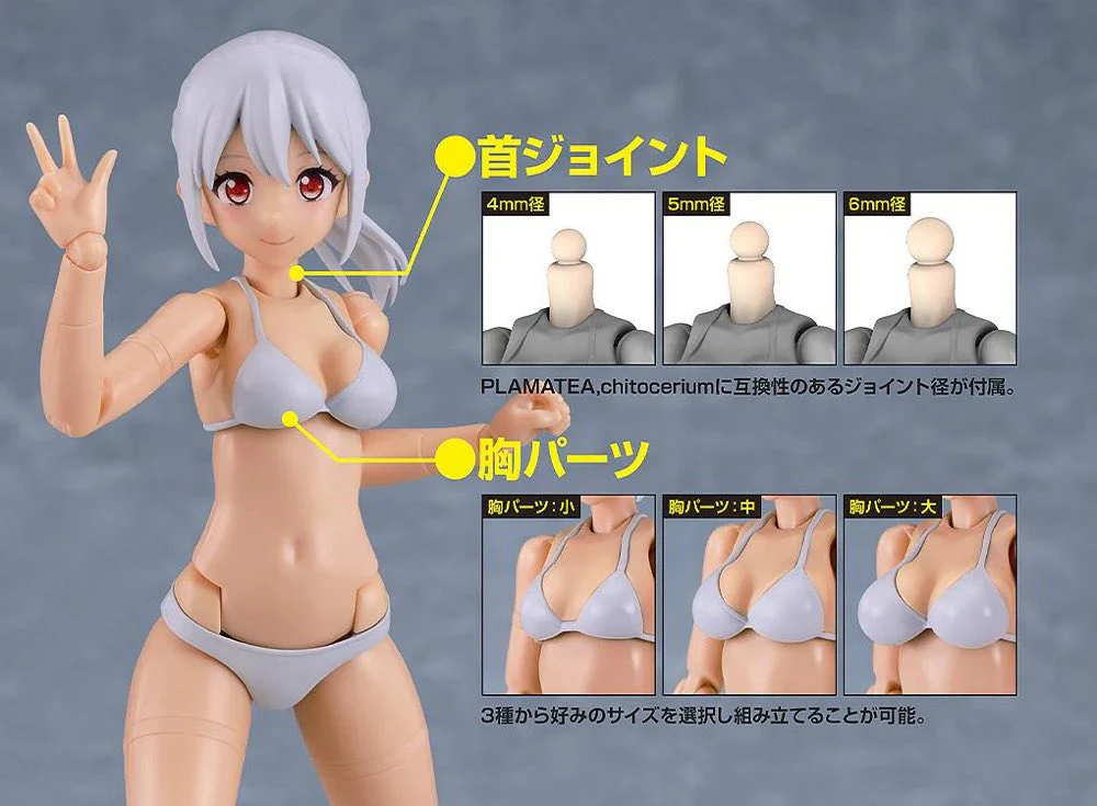 PLAMATEA Muse Body: Ichika - Bikini Ver. C Type - Image 6