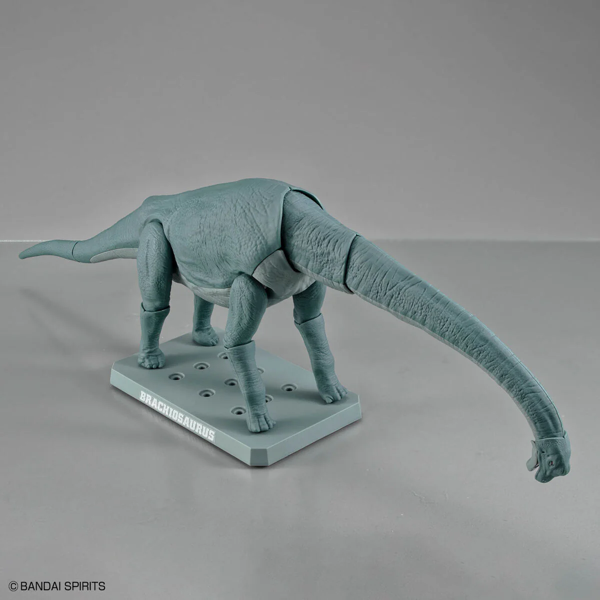 Plannosaurus Brachiosaurus - Image 10