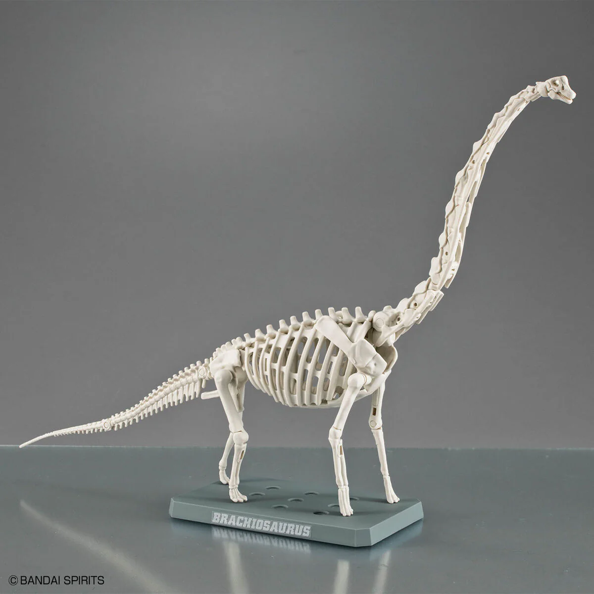 Plannosaurus Brachiosaurus - Image 11