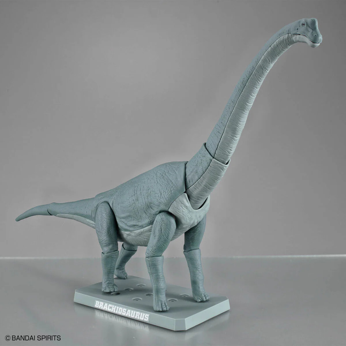 Plannosaurus Brachiosaurus - Image 12