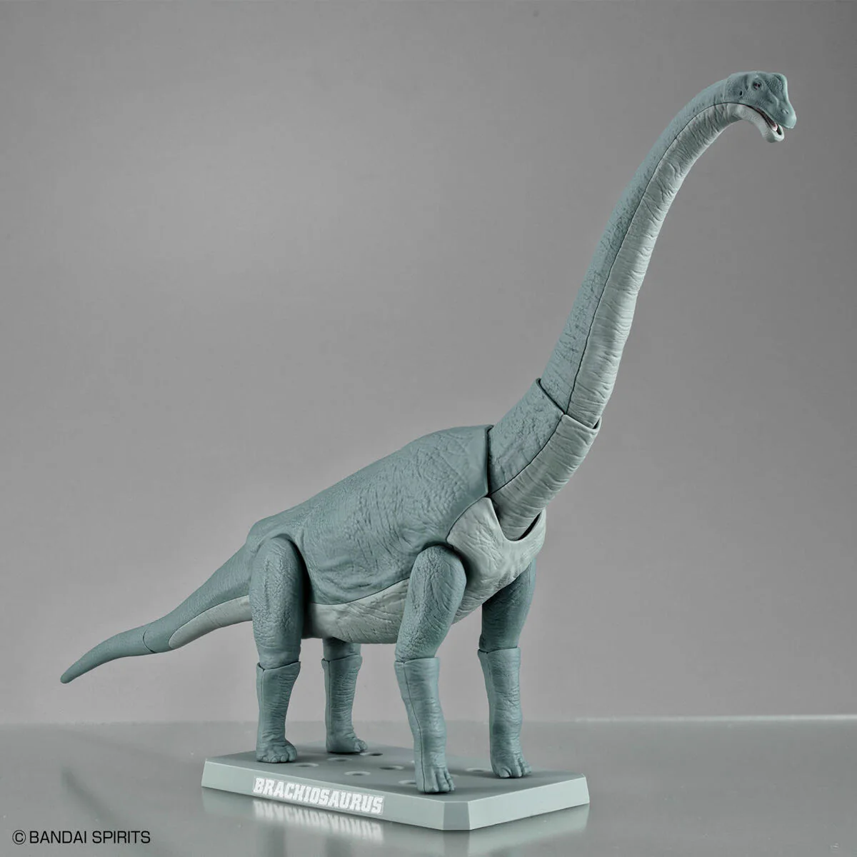Plannosaurus Brachiosaurus - Image 13