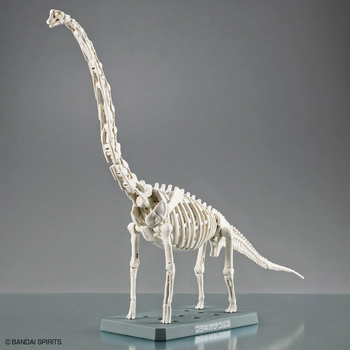 Plannosaurus Brachiosaurus - Image 4