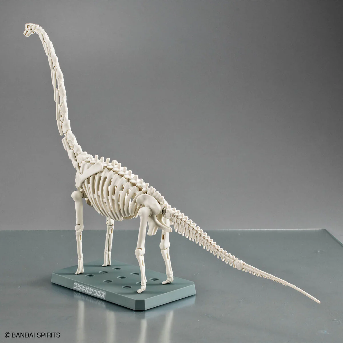 Plannosaurus Brachiosaurus - Image 6