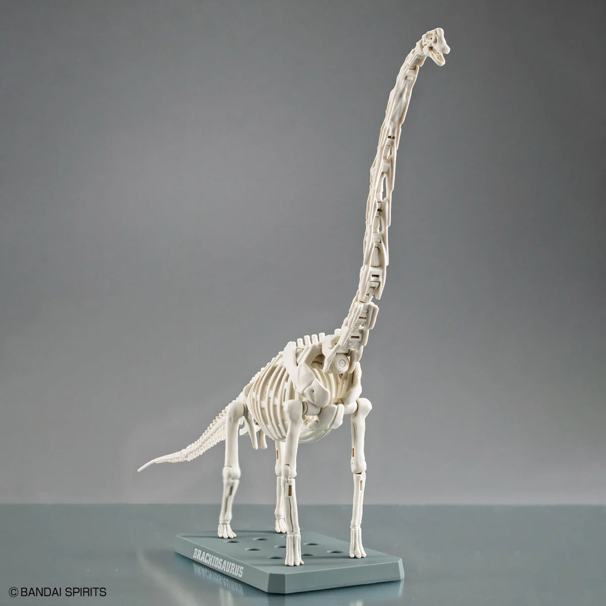 Plannosaurus Brachiosaurus - Image 8