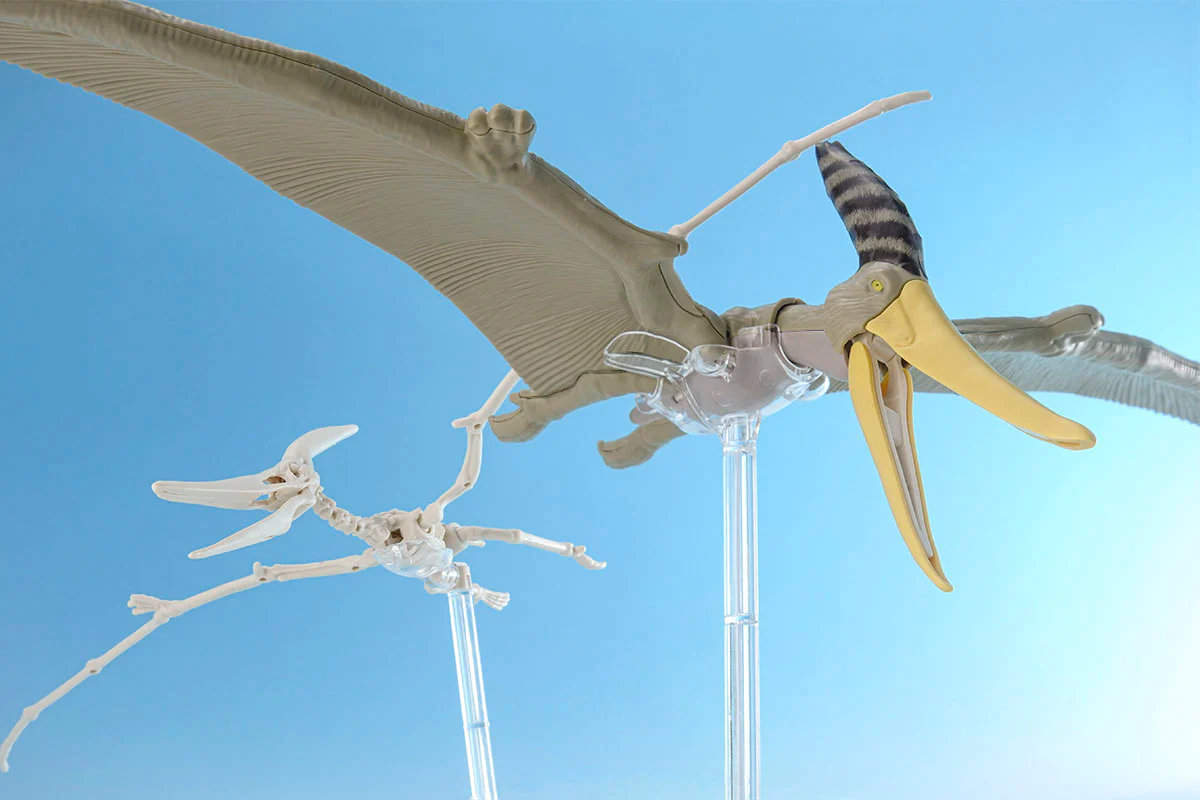 Plannosaurus Pteranodon - Image 12