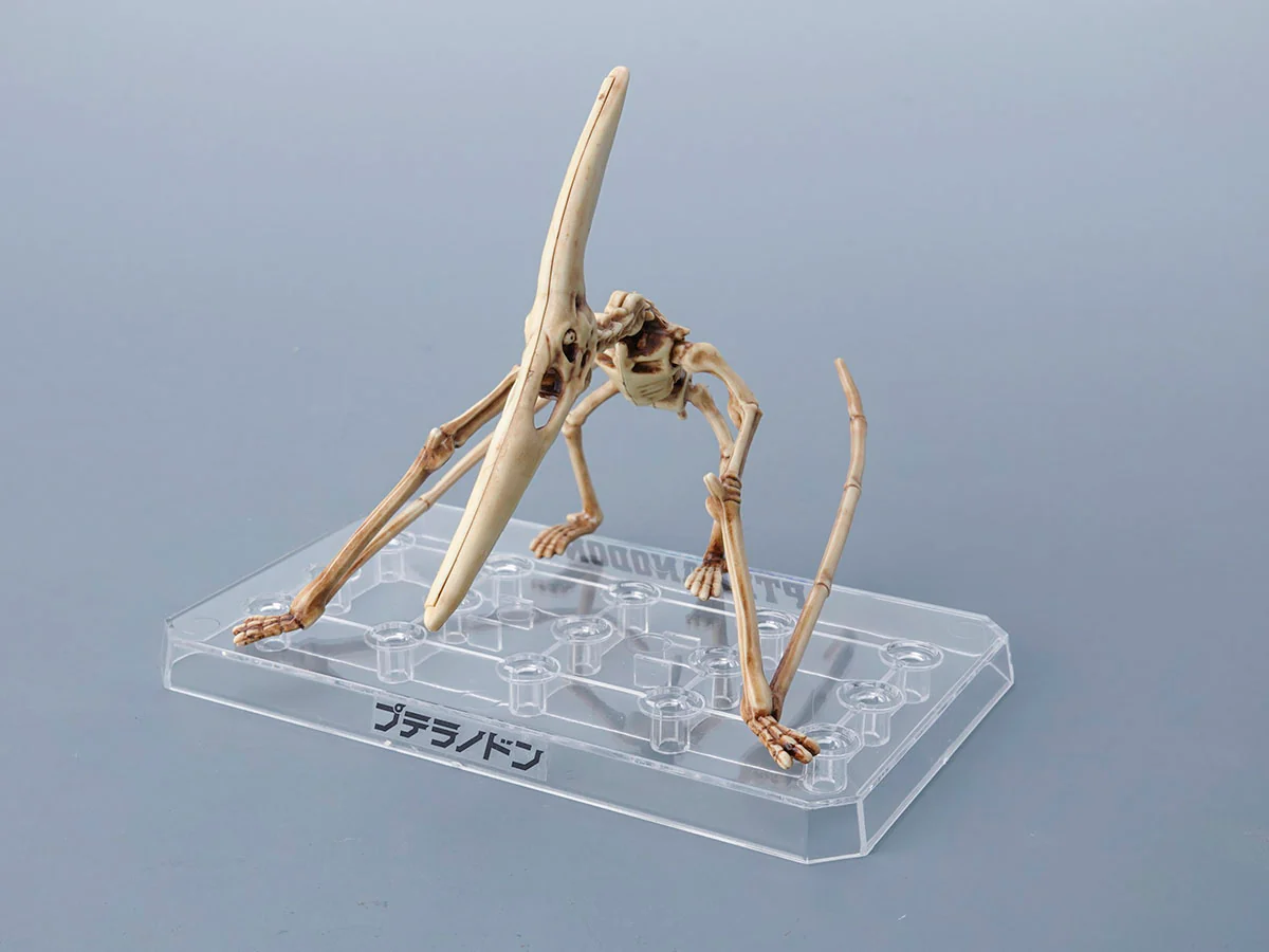 Plannosaurus Pteranodon - Image 13