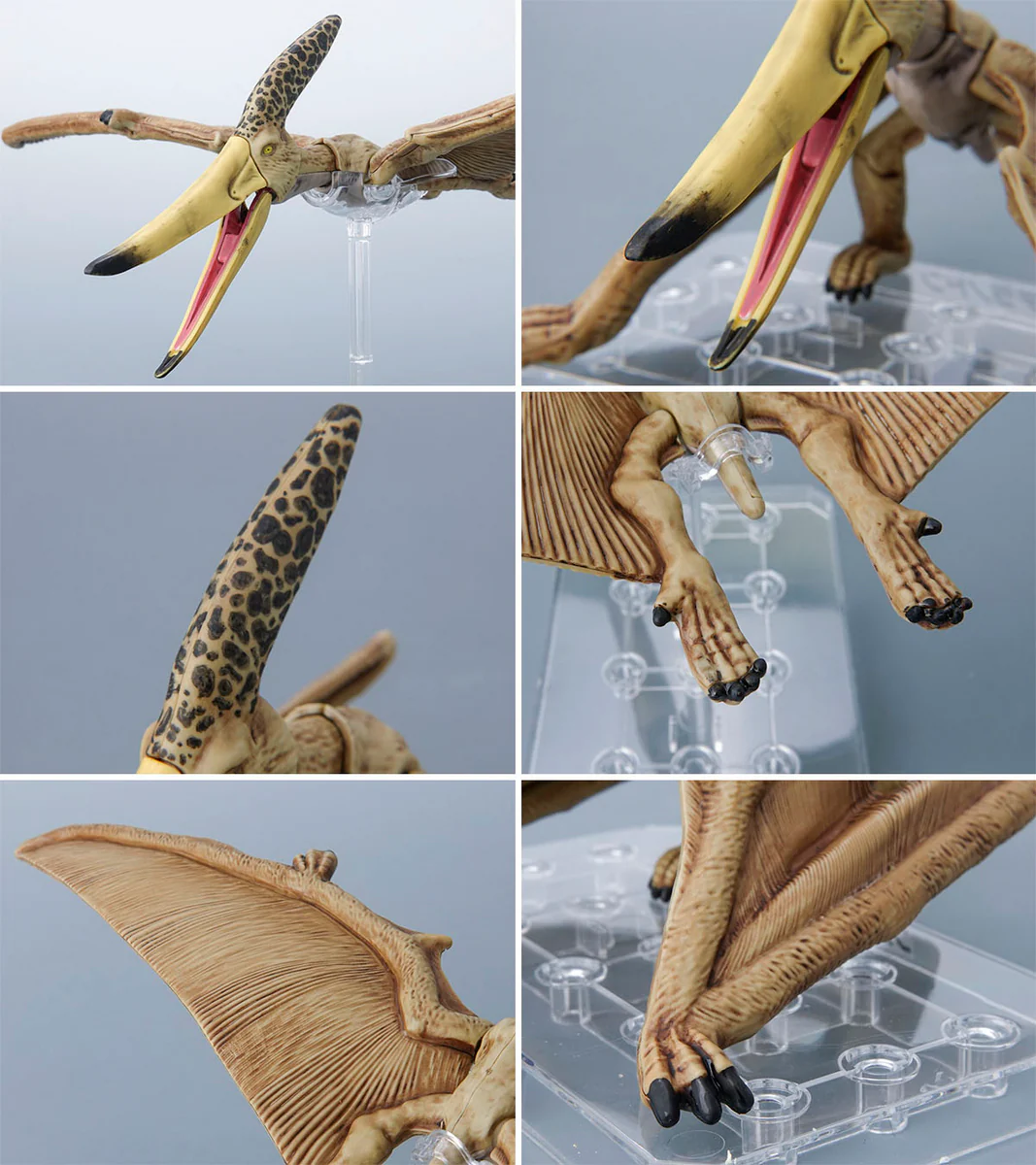 Plannosaurus Pteranodon - Image 15