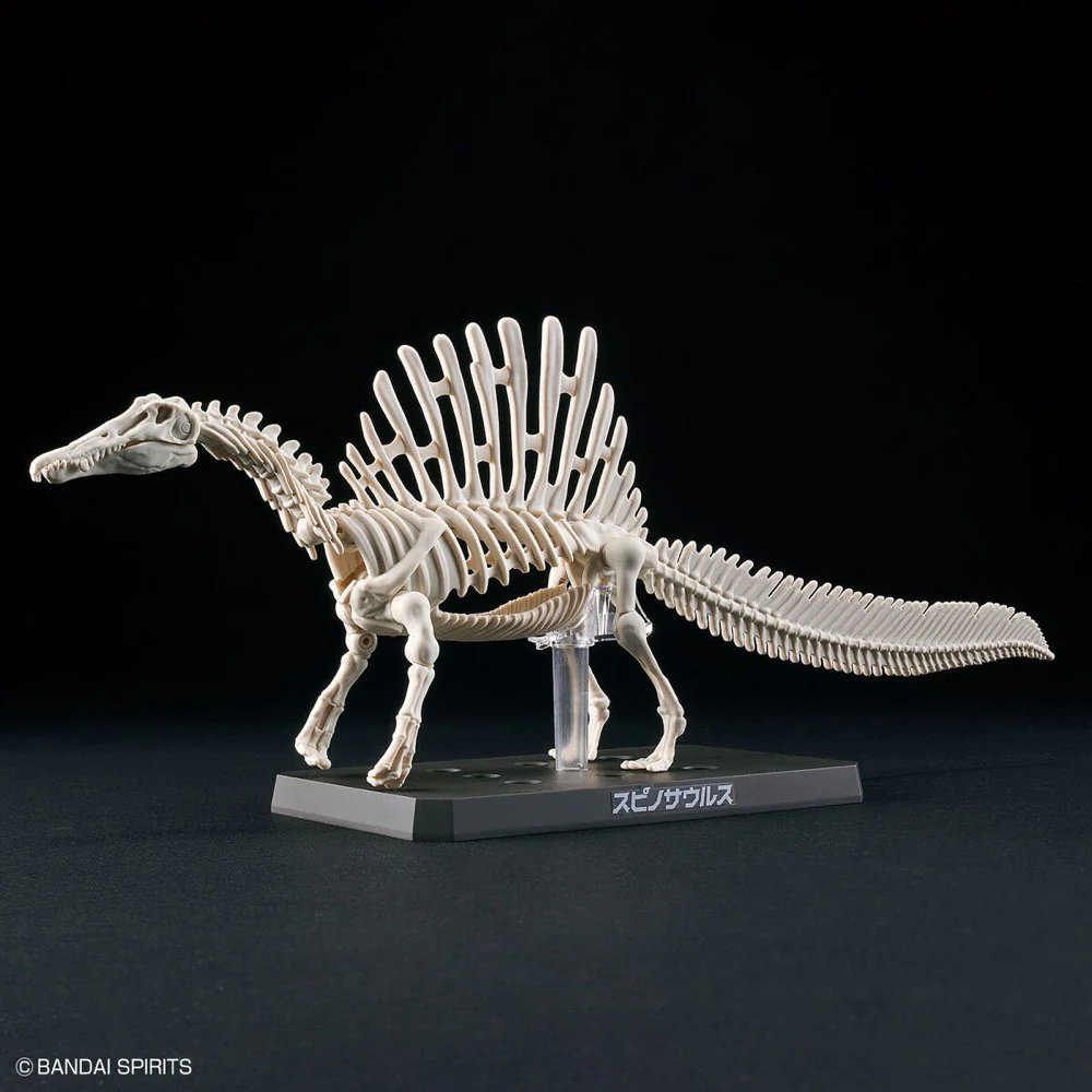 Plannosaurus Spinosaurus - Image 6