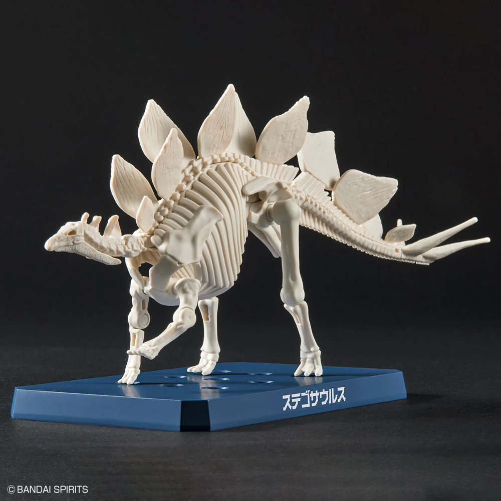 Plannosaurus Stegosaurus - Image 6