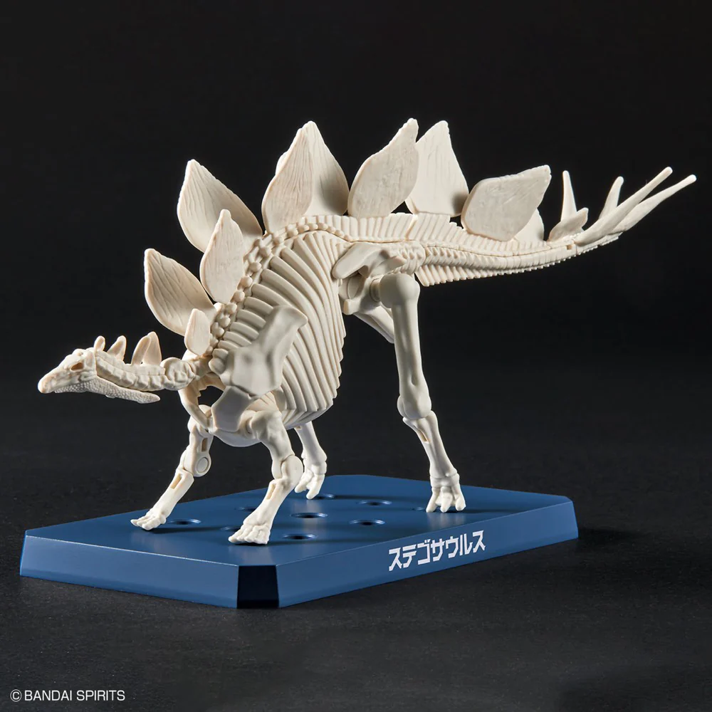 Plannosaurus Stegosaurus - Image 7