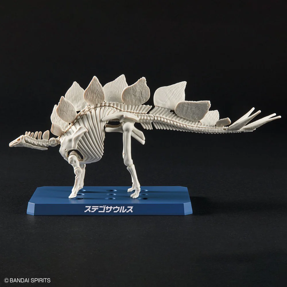 Plannosaurus Stegosaurus - Image 8