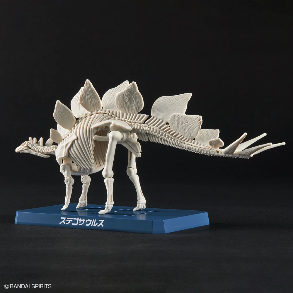 Plannosaurus Stegosaurus - Image 9