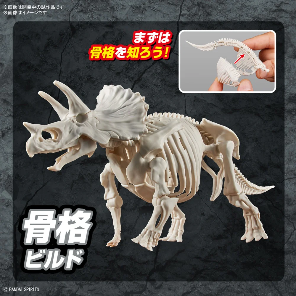 Plannosaurus Triceratops - Image 11