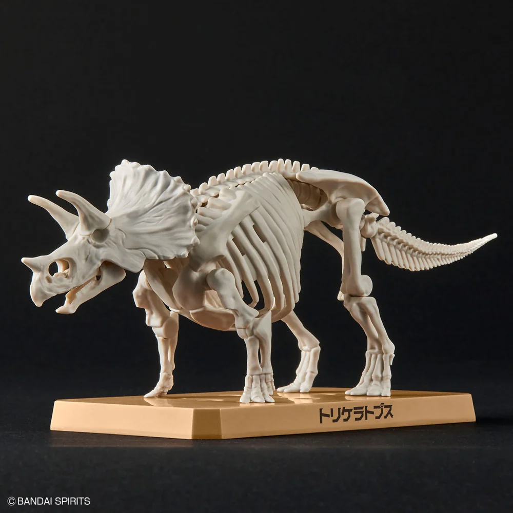 Plannosaurus Triceratops - Image 5