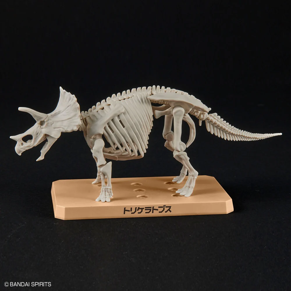 Plannosaurus Triceratops - Image 6