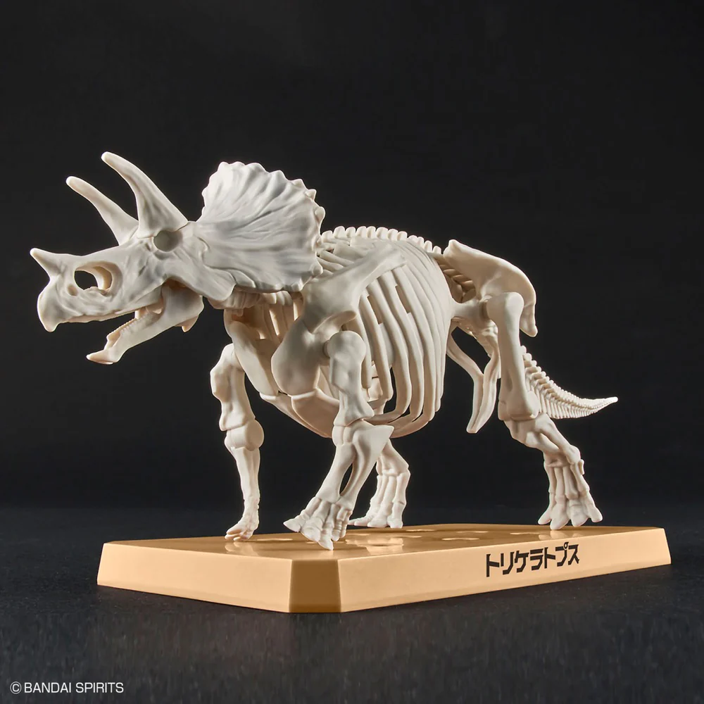 Plannosaurus Triceratops - Image 7