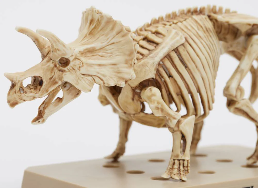 PSMS02 Plannosaurus Triceratops / Stegosaurus Marker Set - Image 3