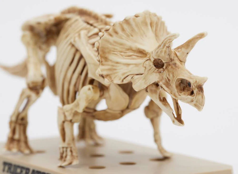 PSMS02 Plannosaurus Triceratops / Stegosaurus Marker Set - Image 4