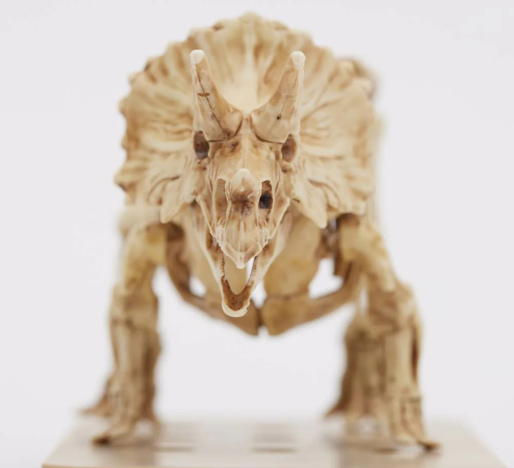 PSMS02 Plannosaurus Triceratops / Stegosaurus Marker Set - Image 5