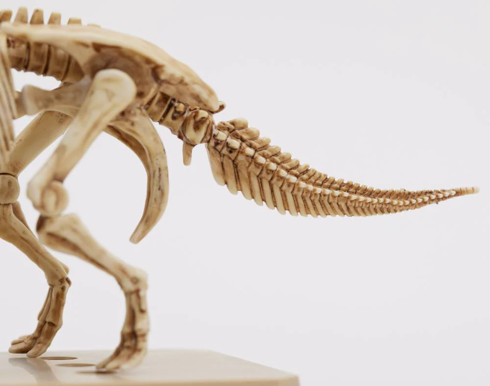 PSMS02 Plannosaurus Triceratops / Stegosaurus Marker Set - Image 6