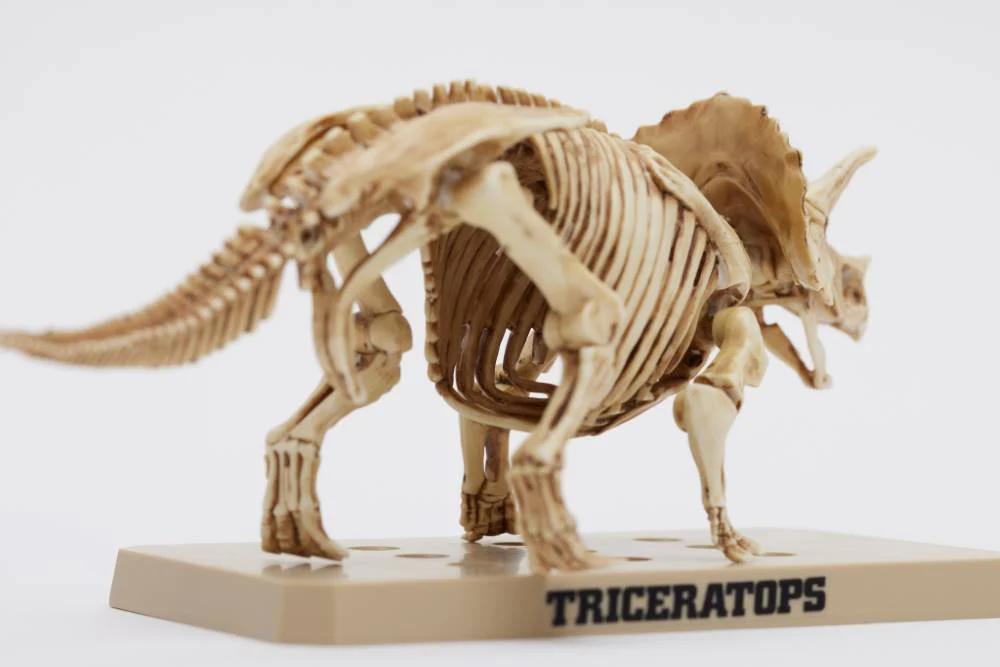 PSMS02 Plannosaurus Triceratops / Stegosaurus Marker Set - Image 7