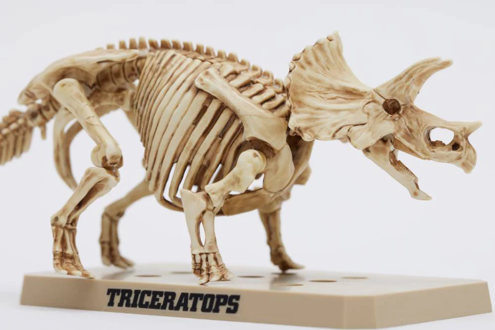PSMS02 Plannosaurus Triceratops / Stegosaurus Marker Set - Image 8
