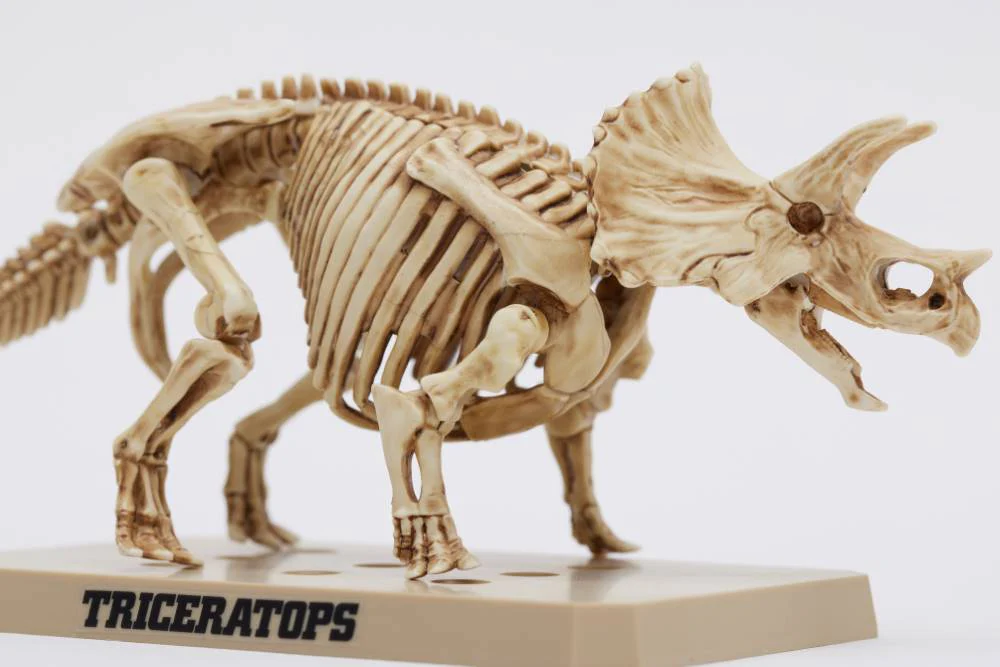 PSMS02 Plannosaurus Triceratops / Stegosaurus Marker Set - Image 9