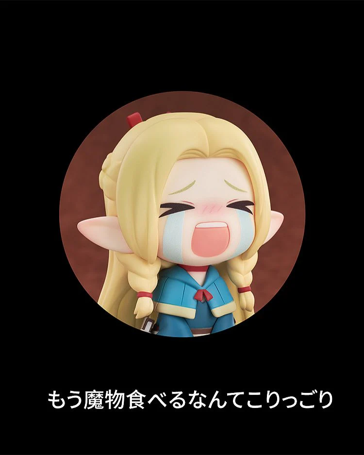 Qset Marcille (Delicious in Dungeon) - Image 8