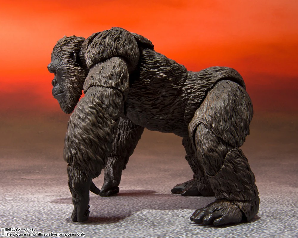 S.H.Monsterarts Kong [Godzilla Vs. Kong] (2021) - Image 5
