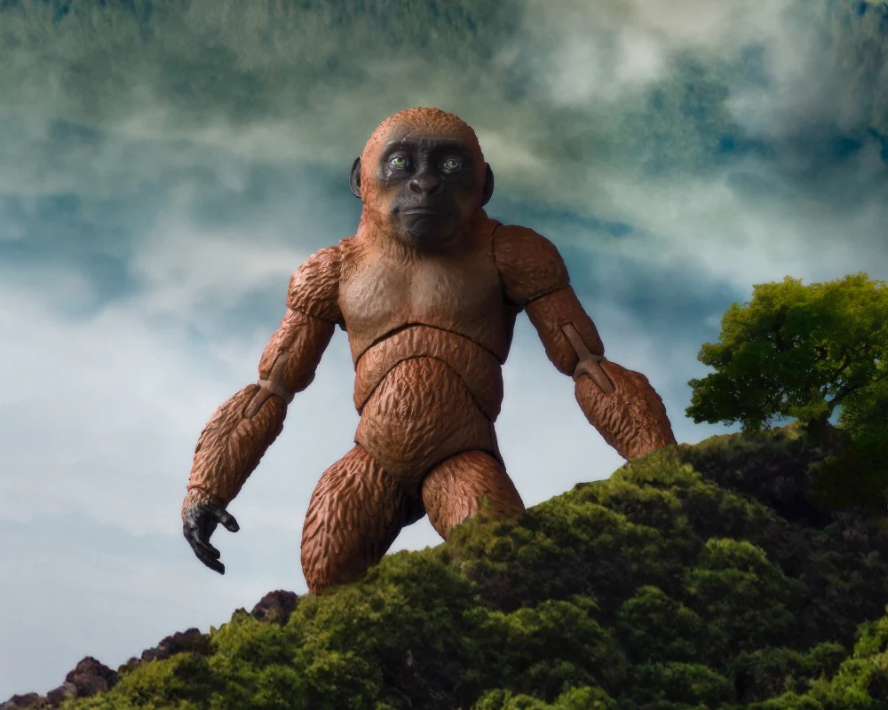 S.H.MonsterArts Suko and Mothra (2024) (Godzilla x Kong: The New Empire) - Image 13