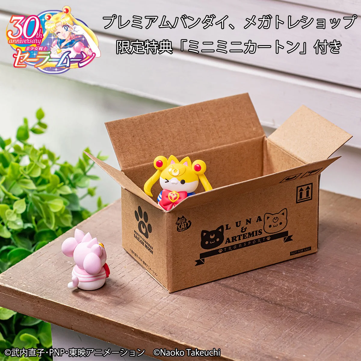 Sailor Mewn! Vol. 2 (set with gift) - Image 11