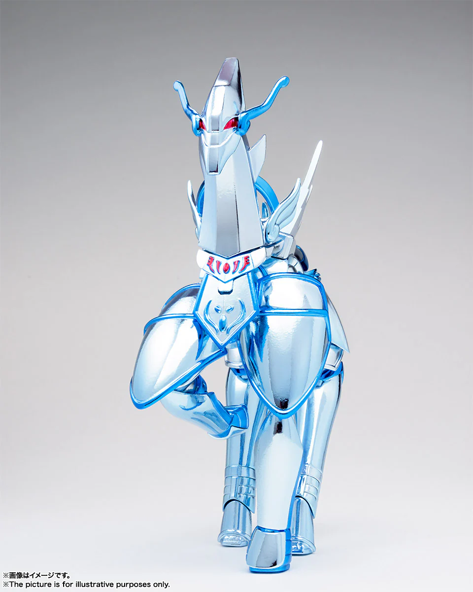 Saint Cloth Myth Equuleus Shoko (Saintia Sho) - Image 7