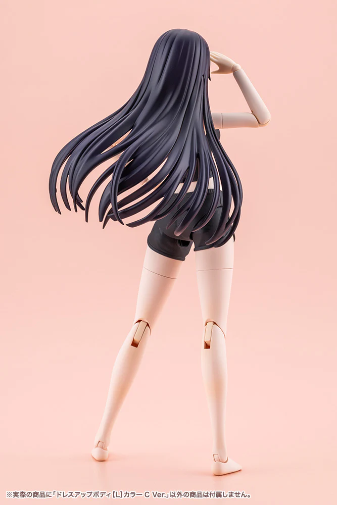 SST Dress Up Body [L] Color C Ver. - Image 13