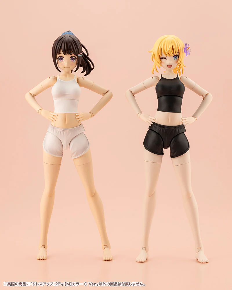 SST Dress Up Body [M] Color C Ver. - Image 15