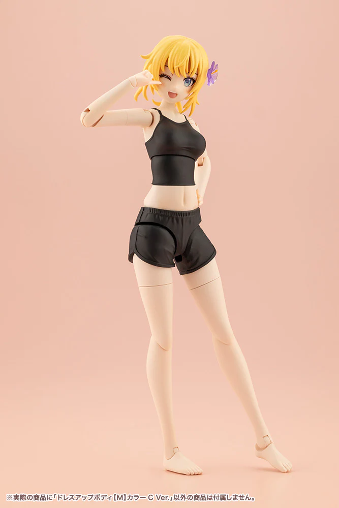 SST Dress Up Body [M] Color C Ver. - Image 16