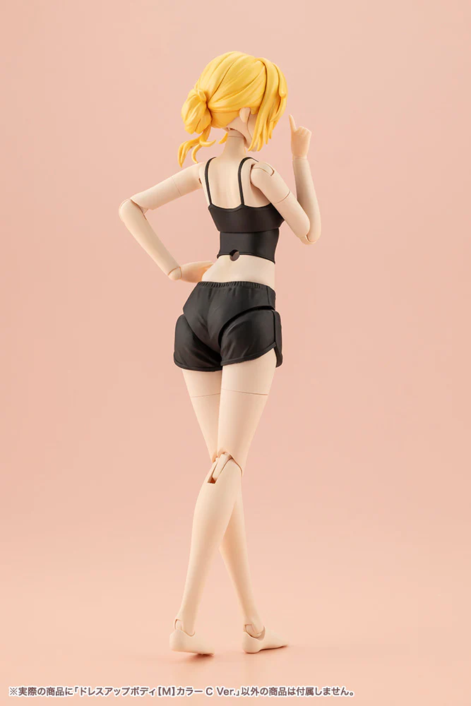 SST Dress Up Body [M] Color C Ver. - Image 17