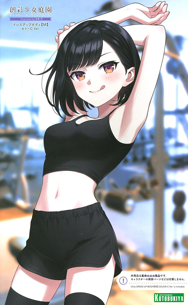 SST Dress Up Body [M] Color C Ver. - Image 2