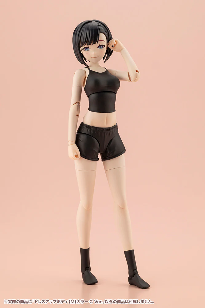 SST Dress Up Body [M] Color C Ver. - Image 25