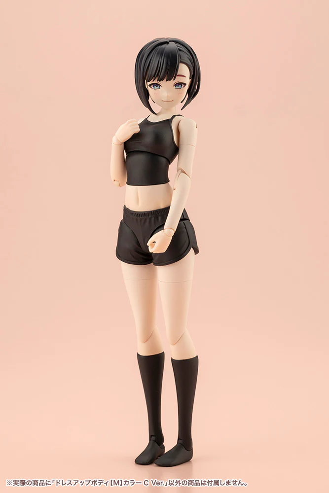 SST Dress Up Body [M] Color C Ver. - Image 26