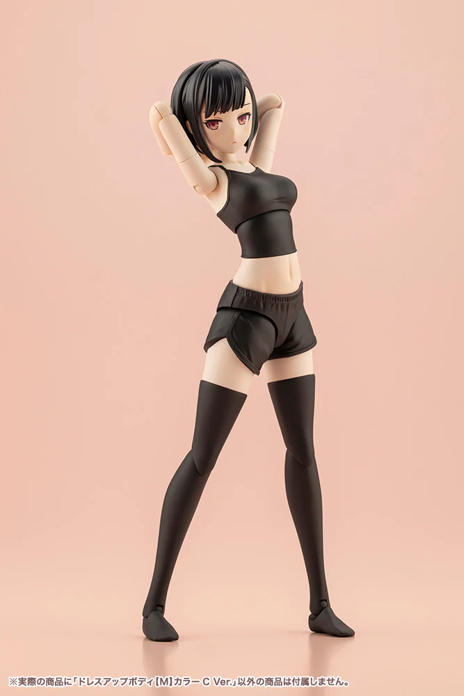 SST Dress Up Body [M] Color C Ver. - Image 8