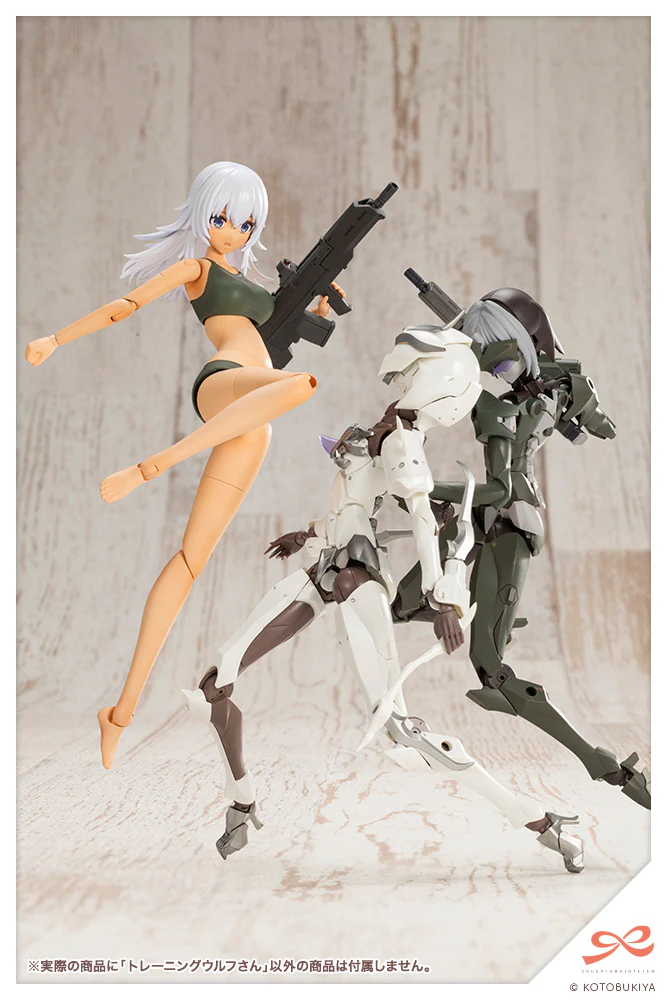 SST Training Wolf - Image 18